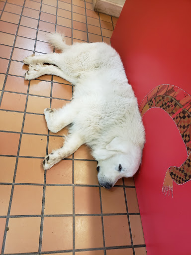 Zoo «Kentucky Down Under Adventure Zoo», reviews and photos, 3700 L and N Turnpike Rd, Horse Cave, KY 42749, USA