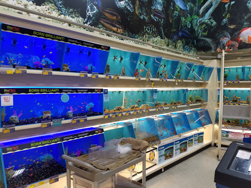 Pet Supply Store «PetSmart», reviews and photos, 6348 Foothill Blvd, Tujunga, CA 91042, USA