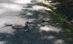 South Arkansas Arboretum - photo 51