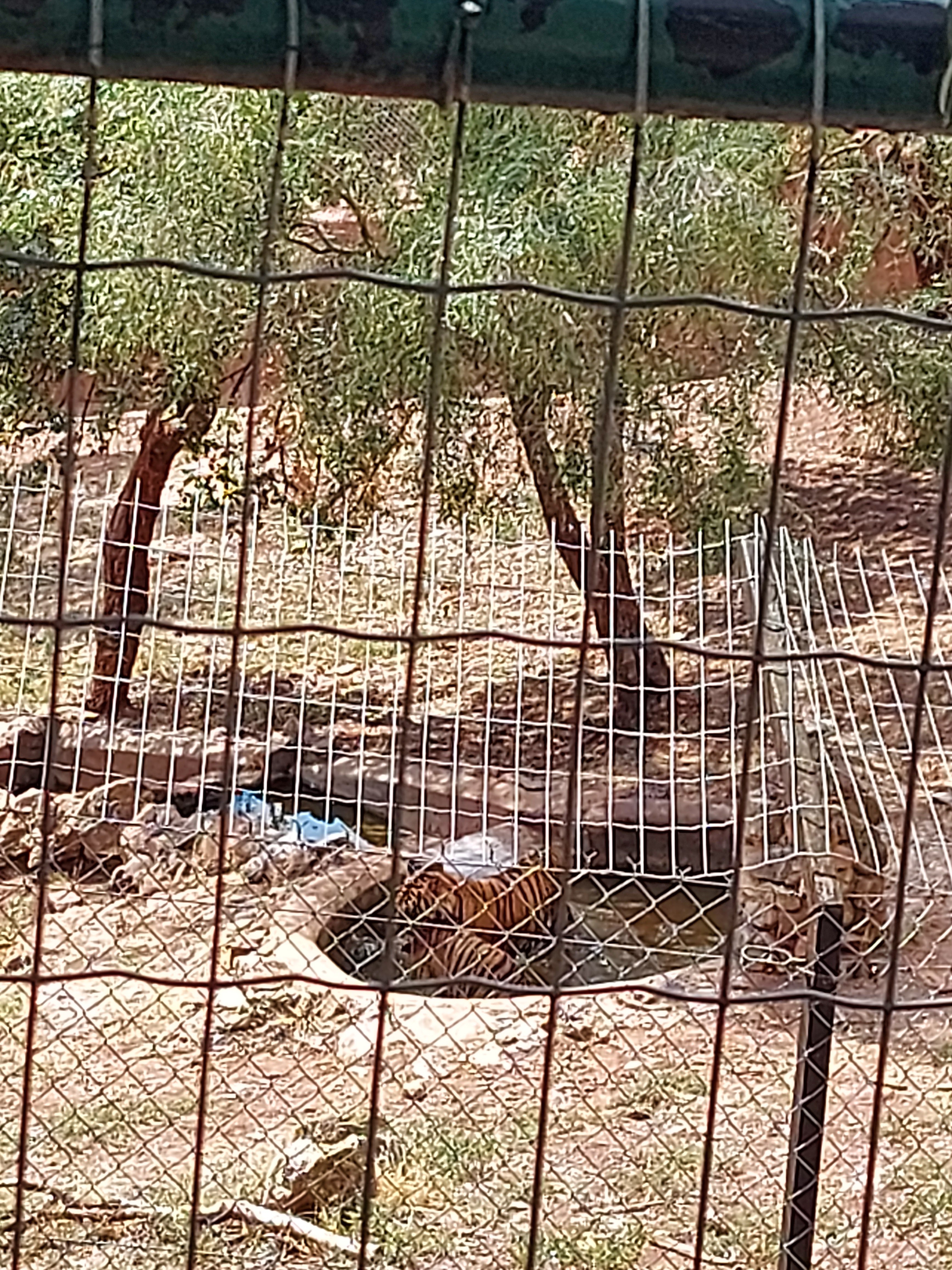 Photo n° 1 de l'avis de Lalli.o fait le 30/08/2022 à 16:19