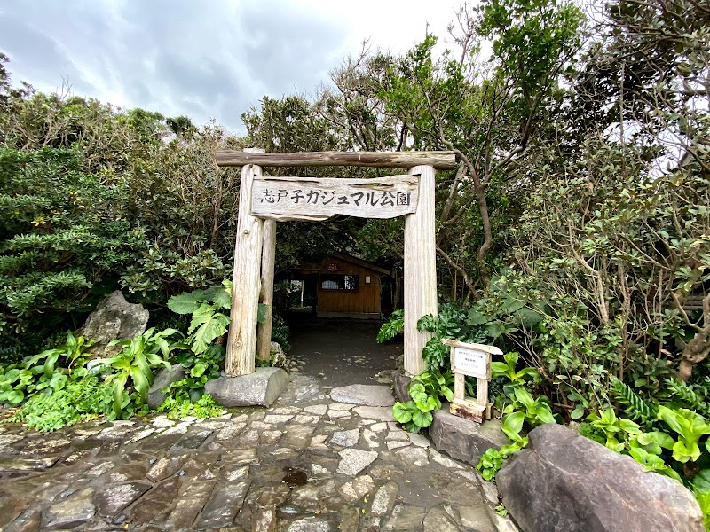 ガジュマル公園 鹿児島県屋久島町志戸子 自然保護公園 公園 グルコミ