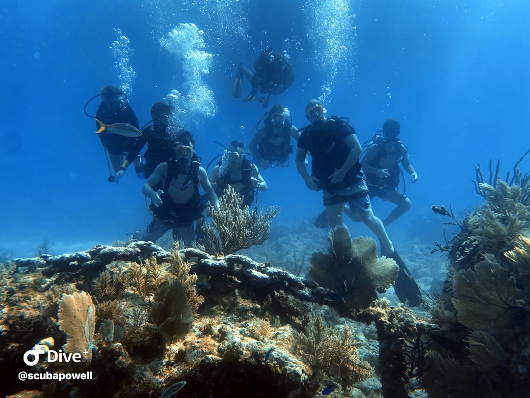 BlueWater Divers