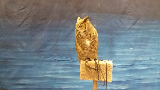 Event Venue «Viridian Event Center», reviews and photos, 8030 S 1825 W, West Jordan, UT 84088, USA