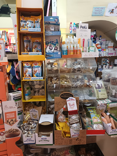 Fauna la Llagosta - La Llagosta