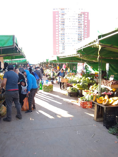 Feria Libre Avenida Argentina