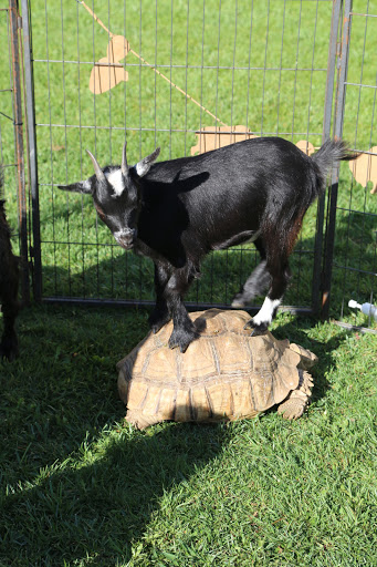 Preschool «Kiddie Academy of Fontana», reviews and photos, 11117 Sierra Ave, Fontana, CA 92337, USA