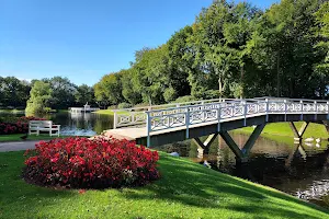 Rhododendronparken image