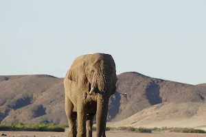 Twyfelfontein Elephant Drives & Campsite image