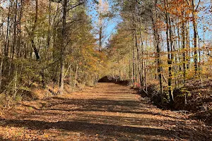 Hillsboro Trail image