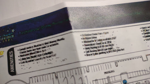 Hotel «Courtyard by Marriott Orlando Lake Buena Vista at Vista Centre», reviews and photos, 8501 Palm Pkwy, Orlando, FL 32836, USA