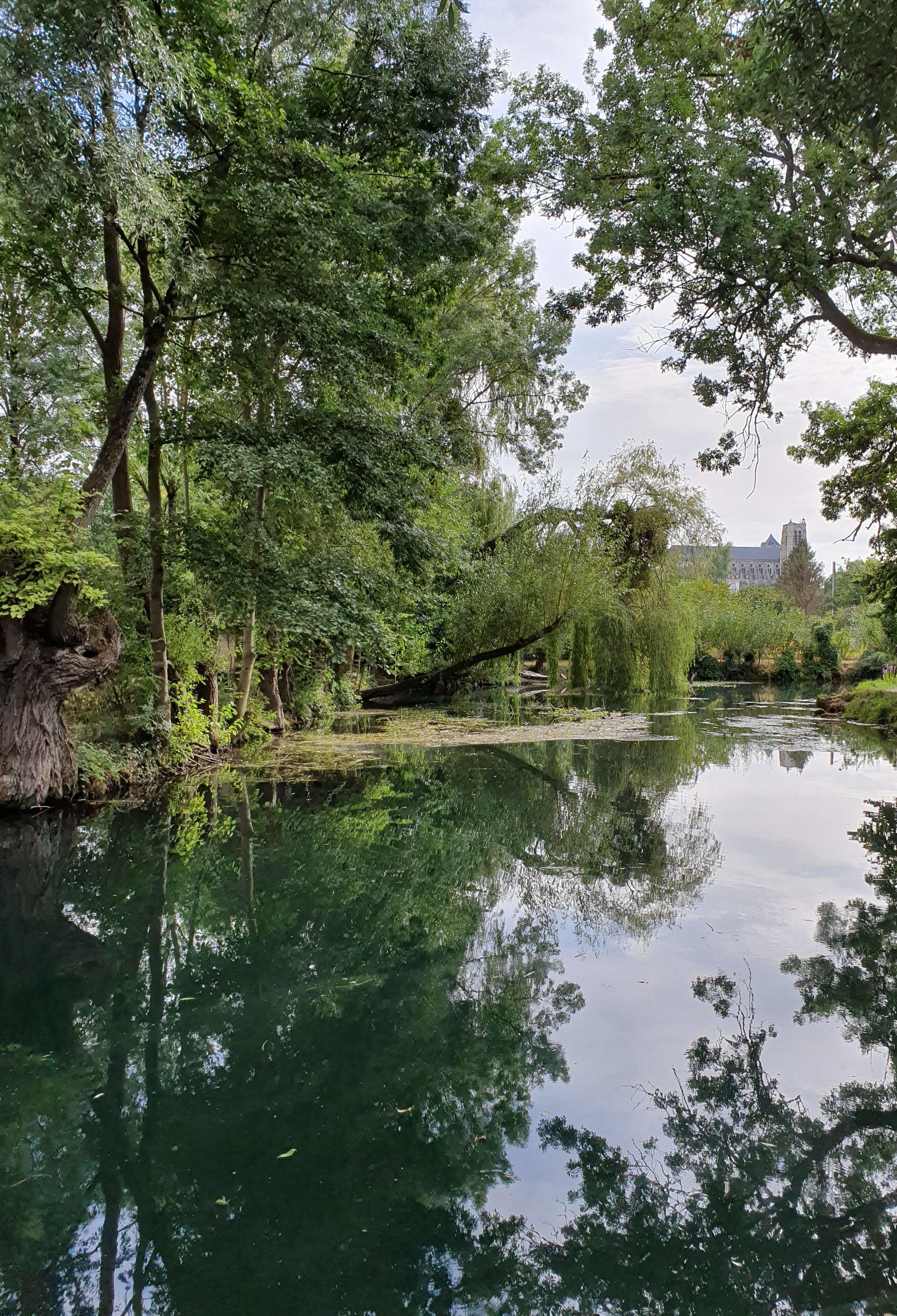 Photo n° 1 de l'avis de Marion. fait le 18/08/2019 à 16:03