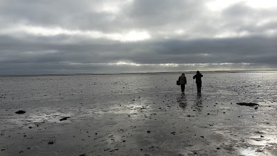 Photos of Wadden Sea National Park