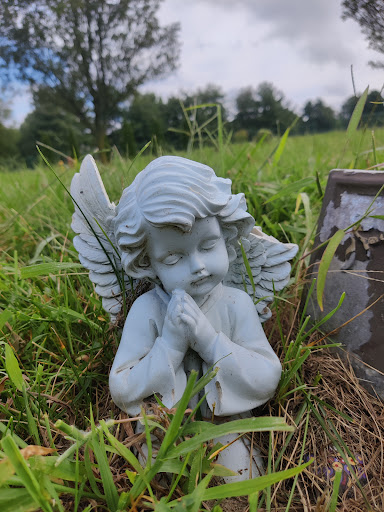 Park «Bonsall Park», reviews and photos, 3000 Silverside Rd, Wilmington, DE 19810, USA