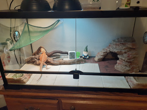 Pet Supply Store «PetSmart», reviews and photos, 849 E 23rd St, Panama City, FL 32405, USA