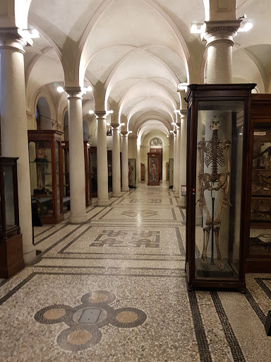MUSEUM OF HUMAN ANATOMY LUIGI ROLANDO
