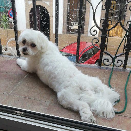 Terranova Clínica Veterinaria en Sevilla