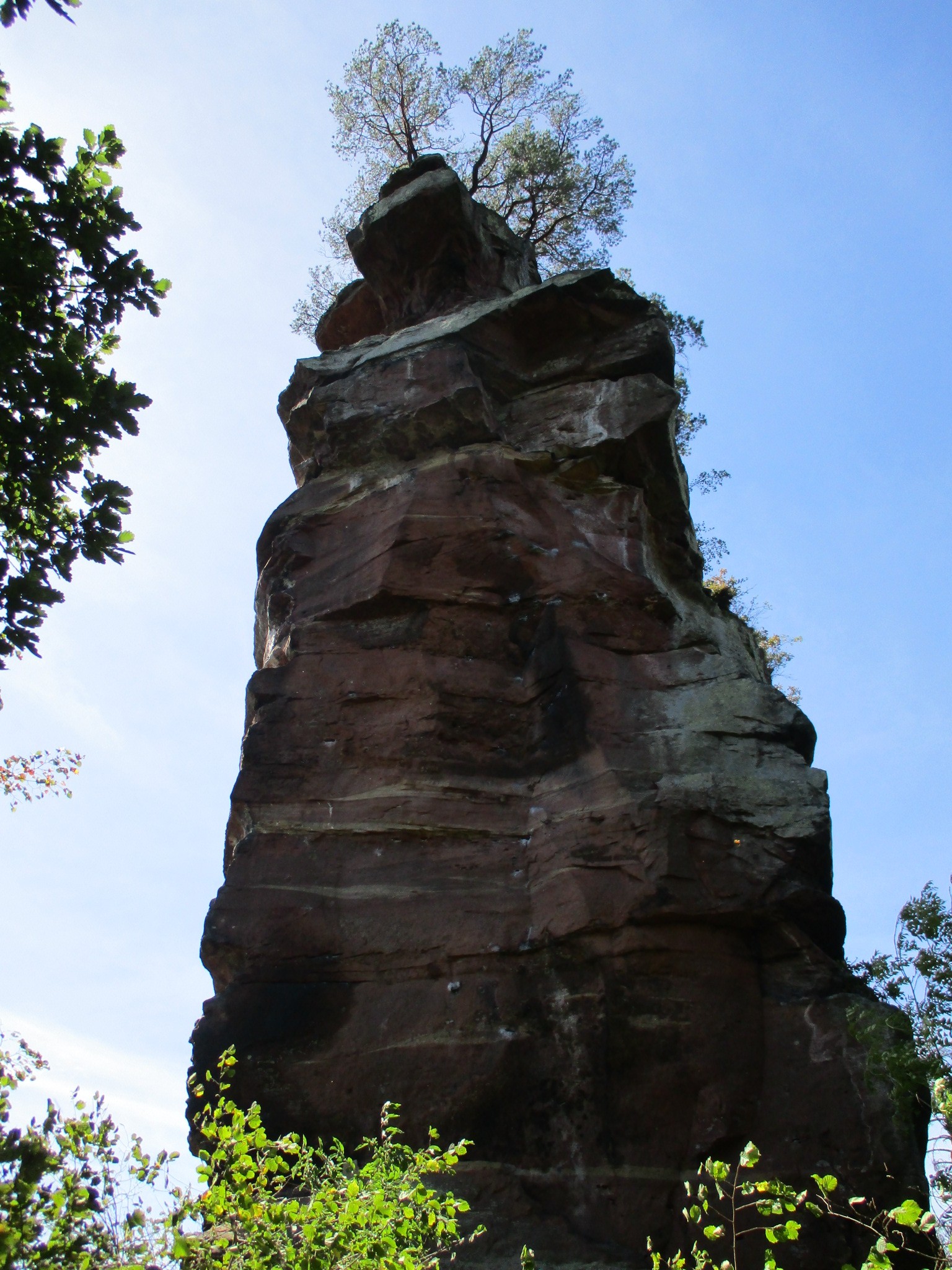 Photo n° 1 de l'avis de The.e fait le 15/10/2023 à 16:34