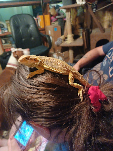 Pet Store «Valley Pets», reviews and photos, 6380 US-85, Fountain, CO 80817, USA