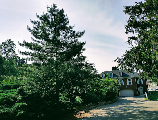 Cemetery «Jefferson Memorial Cemetery, Funeral Home and Crematory», reviews and photos, 301 Curry Hollow Rd, Pittsburgh, PA 15236, USA