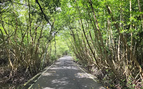 Travel Mangrove Forests image