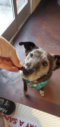 Pet Store «Humboldt Pet Supply», reviews and photos, 145 G St, Arcata, CA 95521, USA