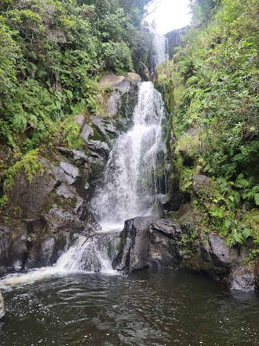 Kaiate Falls - Tauranga