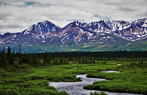 National Park «Denali National Park and Preserve», reviews and photos