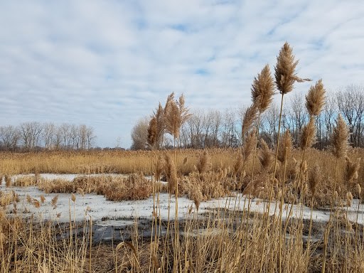 Park «Lake Erie Metropark», reviews and photos, 32481 W Jefferson Ave, Brownstown Charter Twp, MI 48173, USA