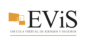 EViS - Escuela Virtual de Riesgos y Seguros