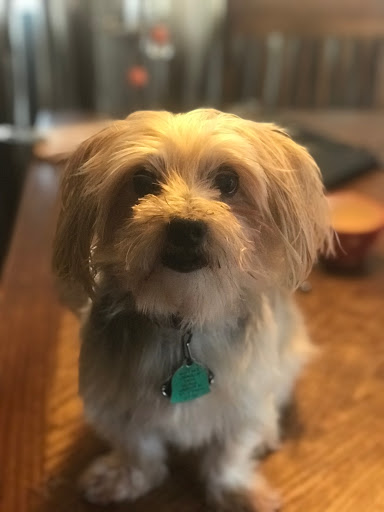 Plumber «Greenleaf Plumbing LLC», reviews and photos, 1908 Park Ave, South Plainfield, NJ 07080, USA