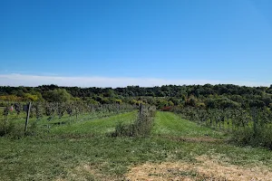Carl Laidlaw Orchards image