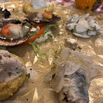 Photo n°2 de l'avis de Walter.h fait le 12/02/2023 à 19:36 sur le  Trattoria alla Palazzina à Venice