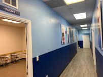 OHLA Tampa - Photo 6 - Car repair in Tampa, FL, Tampa