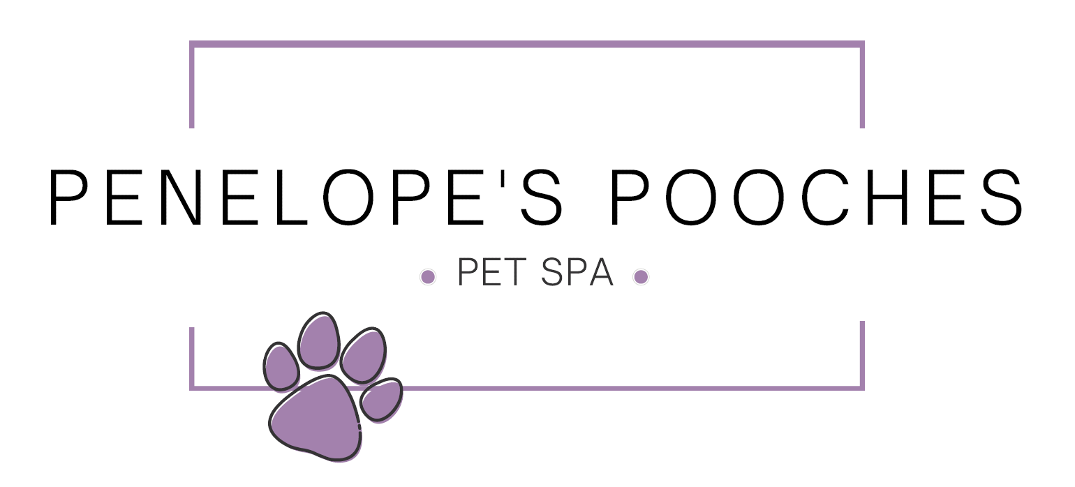 Penelope's Pooches LLC