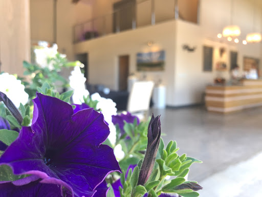 Winery «Blizzard Wines», reviews and photos, 29495 SW Burkhalter Rd, Hillsboro, OR 97123, USA