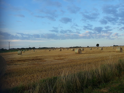 PIERRES LORRAINES à Mirecourt