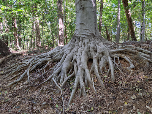 Park «Potomac Overlook Regional Park», reviews and photos, 2845 Marcey Rd, Arlington, VA 22207, USA