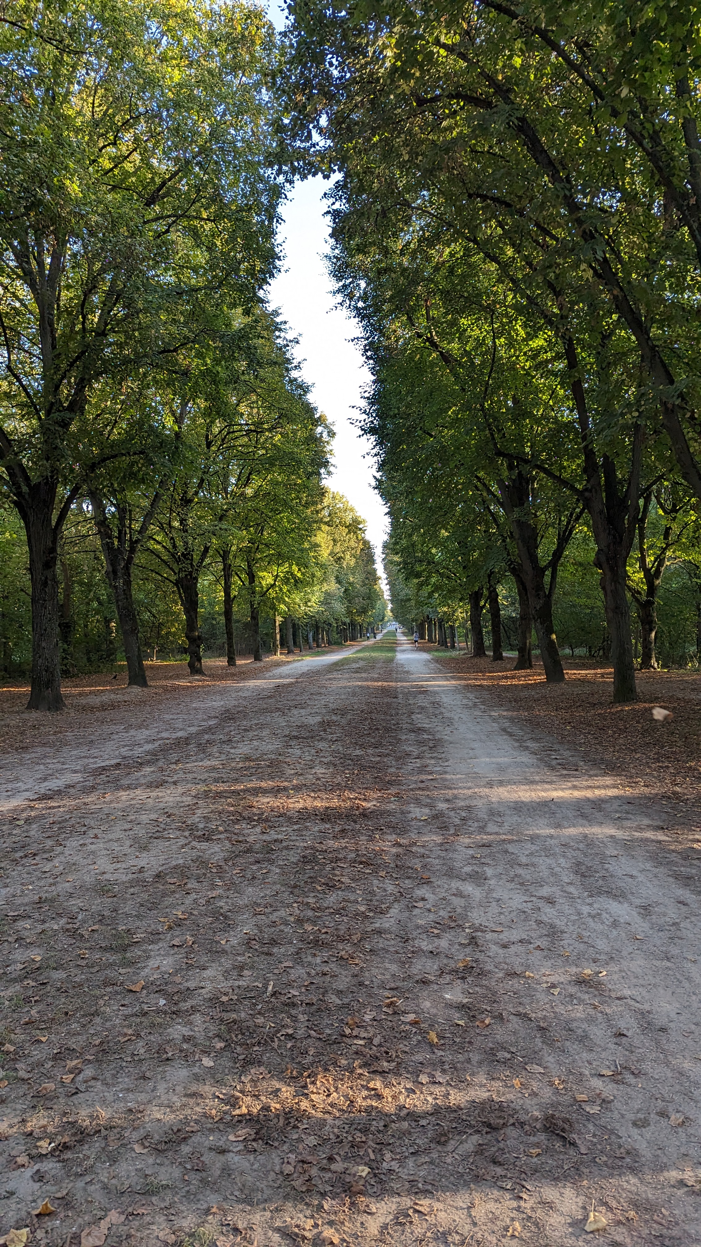 Photo n° 23 de l'avis de Alessandro.t fait le 09/03/2024 à 01:48