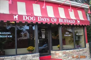 Dog Days of Buffalo image