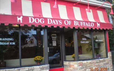 Dog Days of Buffalo image