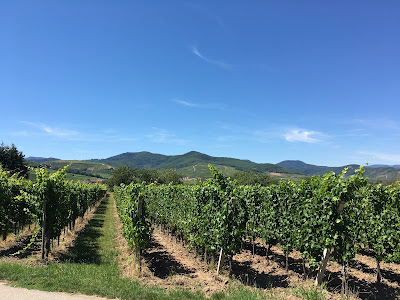 VINS FRANCOIS BOHN ET ESTELLE à Ingersheim