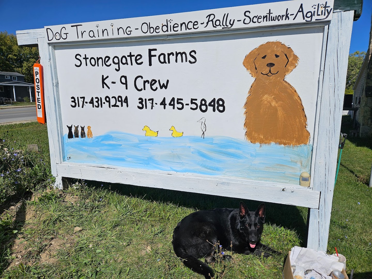 Stonegate Farm's K-9