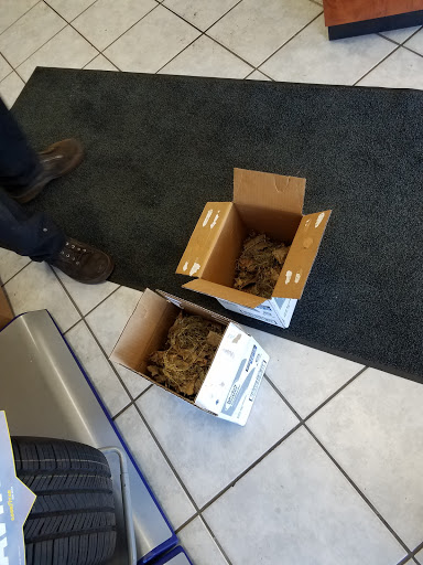 Tire Shop «De Re Tire & Auto Inc.», reviews and photos, 430 Nelson Rd, New Lenox, IL 60451, USA