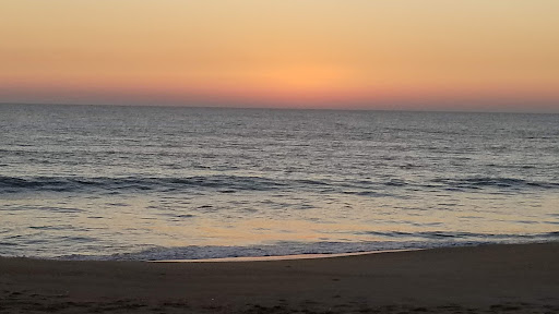 Army & Navy Surplus Shop «Navy Exchange-Dam Neck Annex», reviews and photos, 1977 Terrier Ave, Virginia Beach, VA 23461, USA