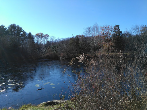 Farm «Jones Family Farms», reviews and photos, 606 Walnut Tree Hill Rd, Shelton, CT 06484, USA