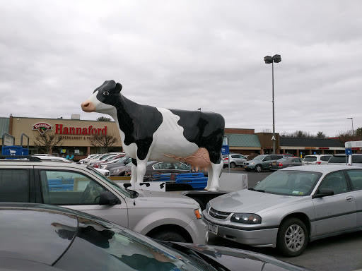 Grocery Store «Hannaford Supermarket», reviews and photos, 19 Clifton Country Rd Suite 16, Clifton Park, NY 12065, USA