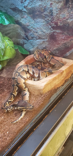 Pet Supply Store «Petco Animal Supplies», reviews and photos, 10 Sylvan St, Peabody, MA 01960, USA