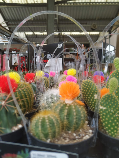 Home Improvement Store «The Home Depot», reviews and photos, 6000 Johnson Dr, Pleasanton, CA 94588, USA