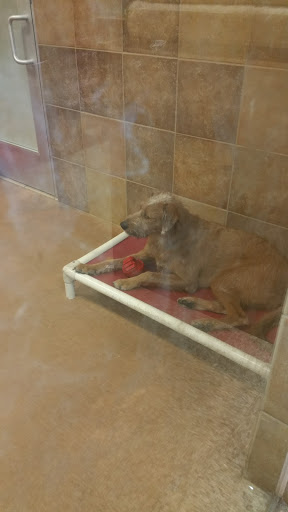 Pet Supply Store «PetSmart», reviews and photos, 131 Highlands Blvd Dr, Manchester, MO 63011, USA