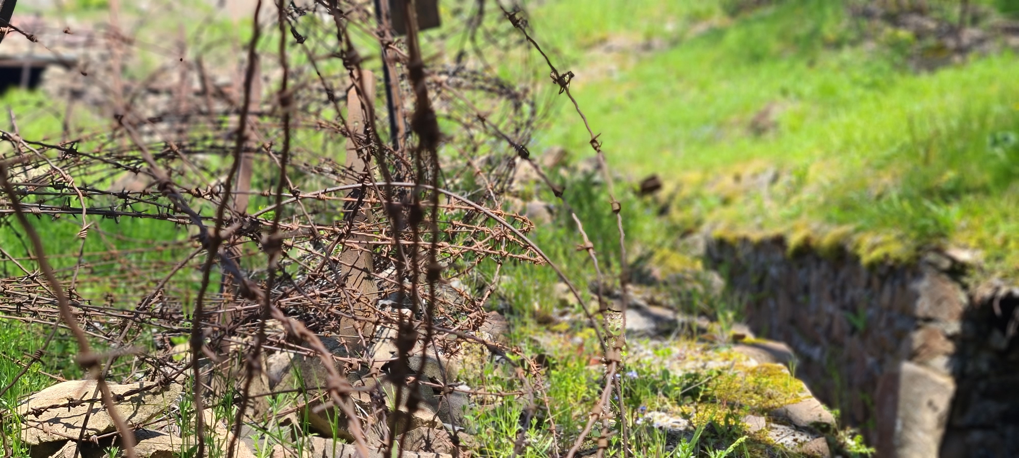 Photo n° 25 de l'avis de Jean.r fait le 29/05/2021 à 15:01